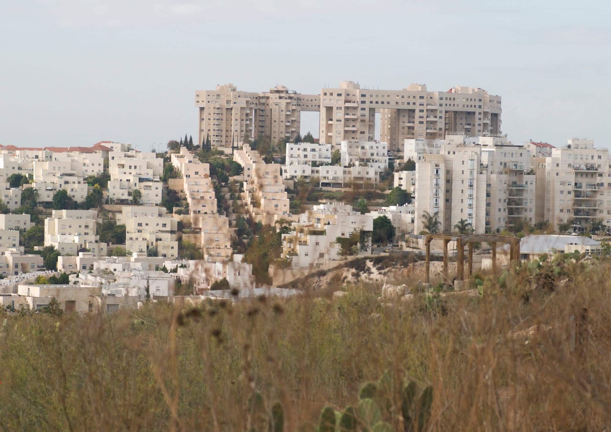 טיול באזור מודיעין