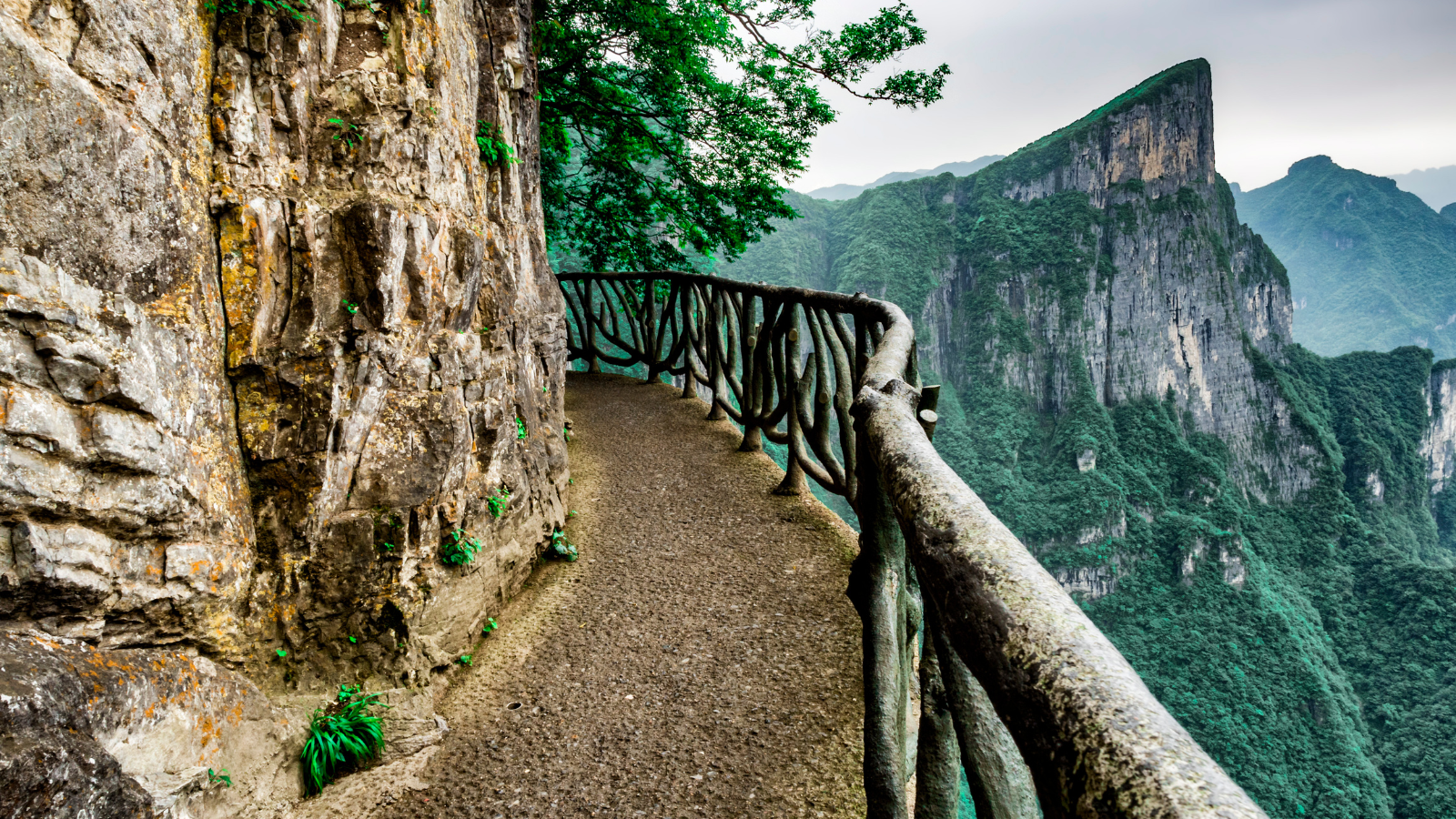 טיולים מומלצים ביבשת אסיה